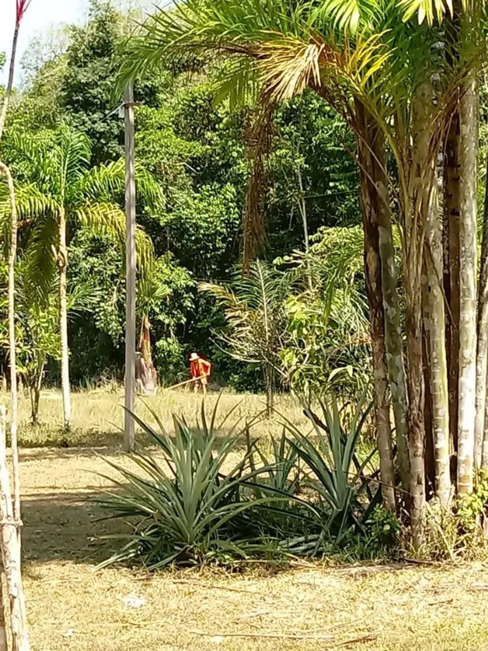 Sítio na  BR 174, no km16 - Foto 2