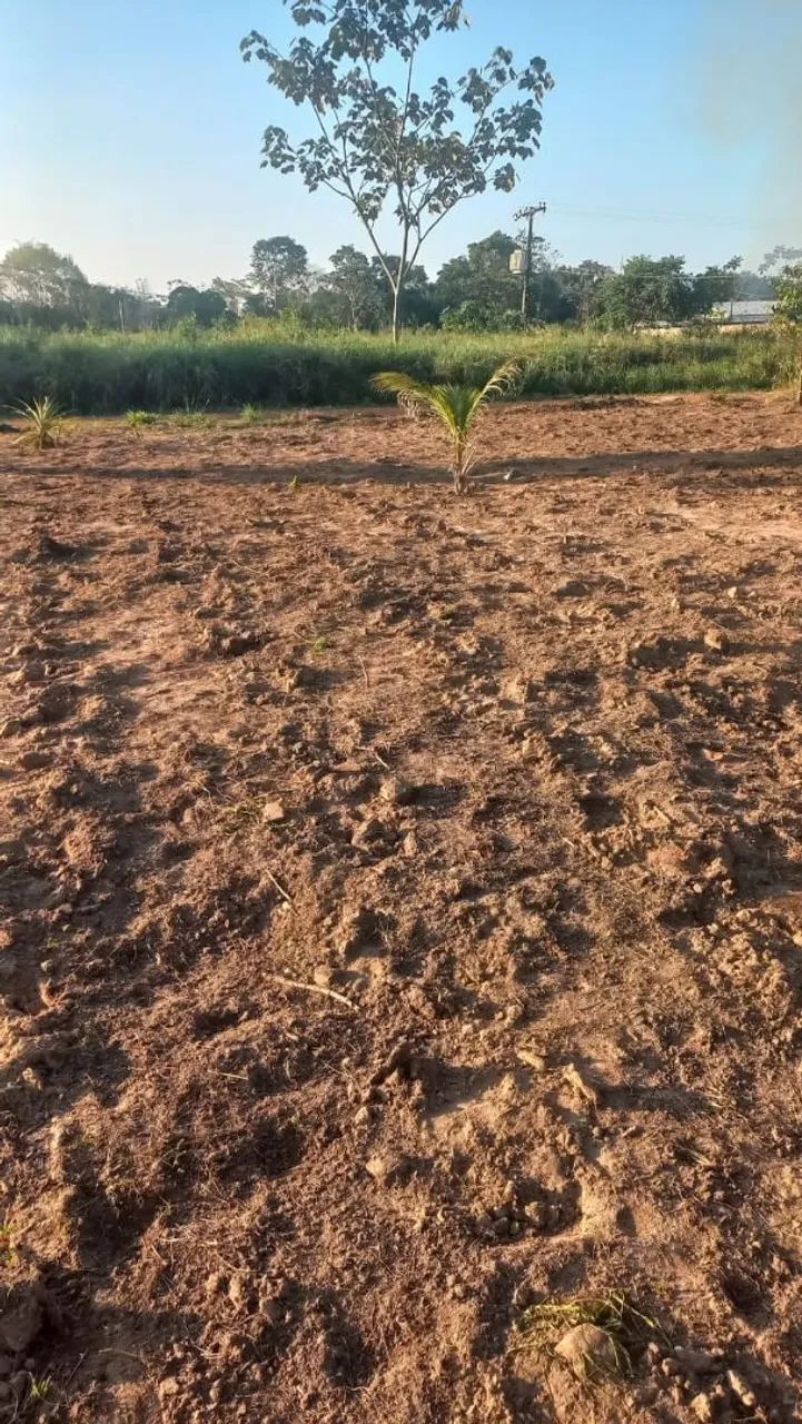 Vendo terreno 