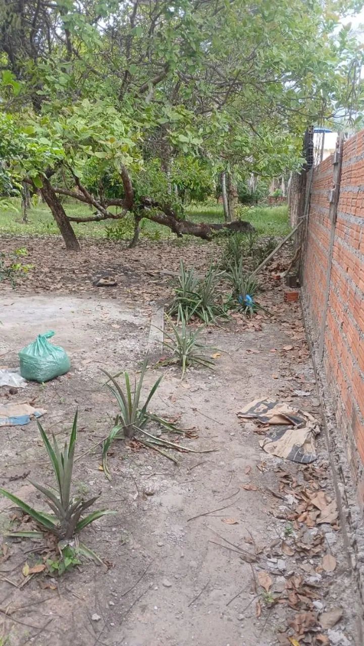 VENDA! - Foto 4