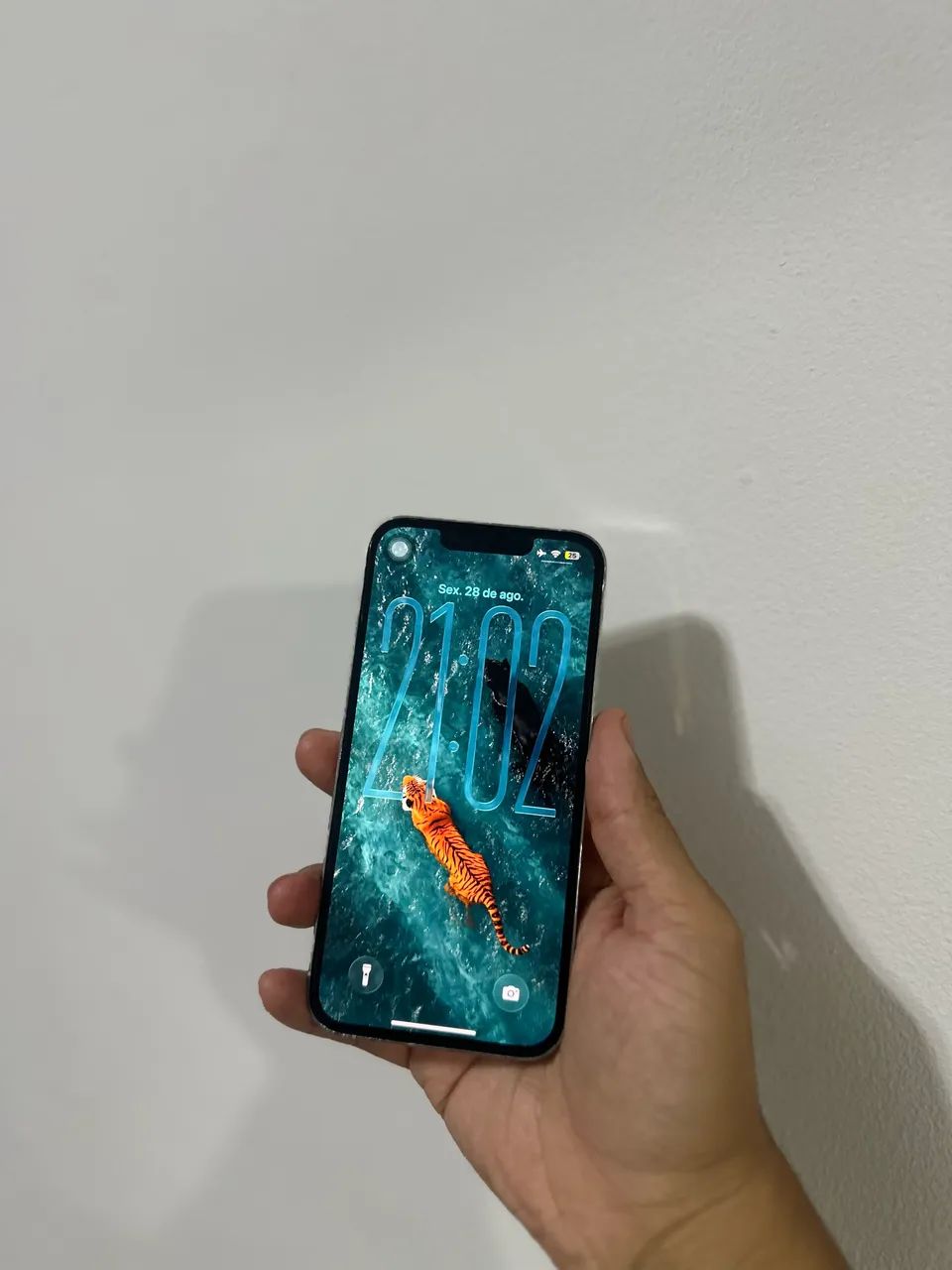 iPhone 13 Pro 