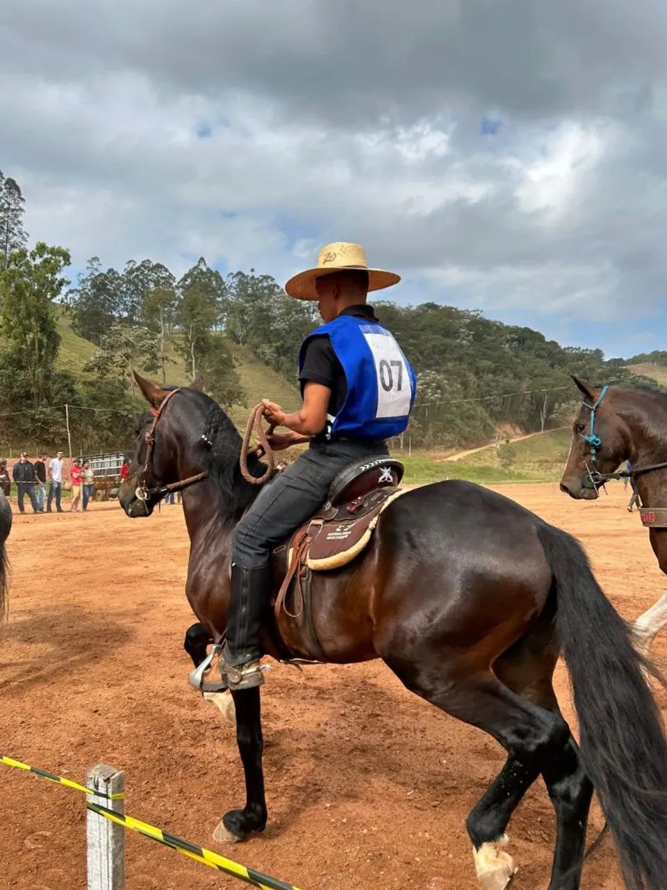 Cavalo Mangalarga marchador  - Foto 5