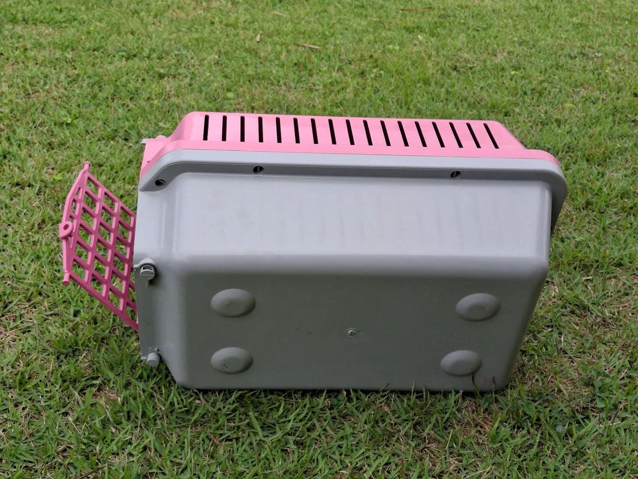 Maleta para Transporte de Pets - Foto 4