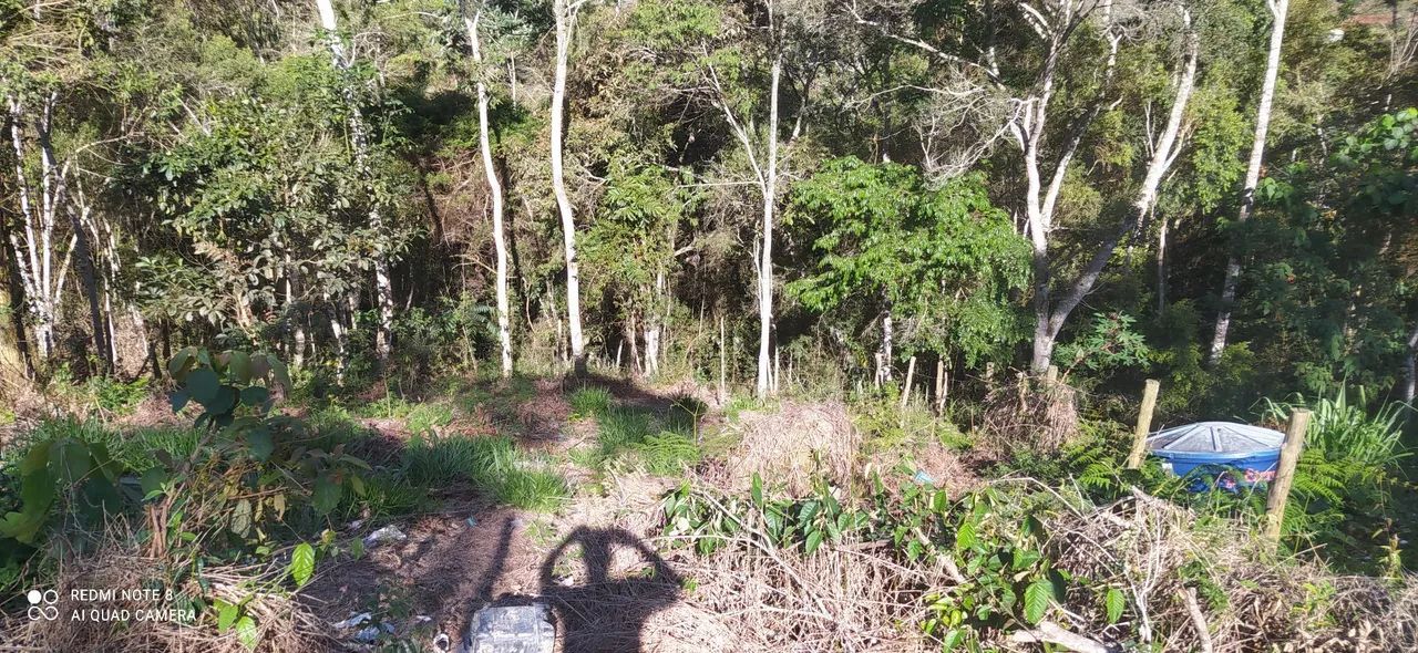 Terreno campo do coelho  - Foto 3