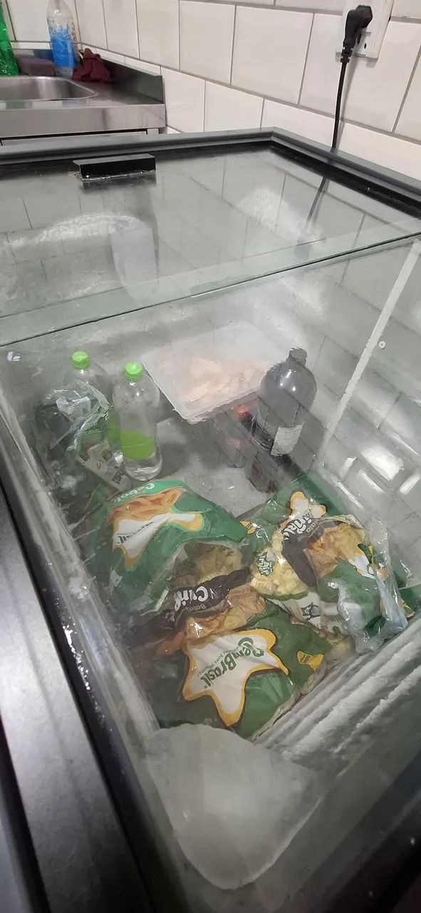 Freezer Vertical
