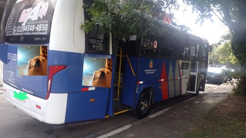 MARCOPOLO DW9 - Foto 2