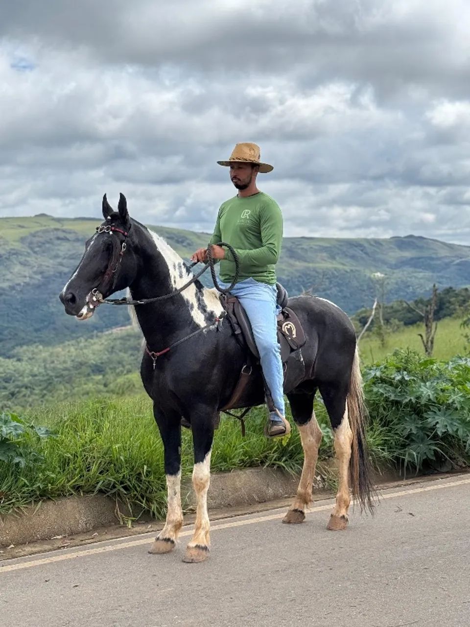 Cavalo mangalarga pampa de preto homozigoto, 6 anos de idade - Foto 2
