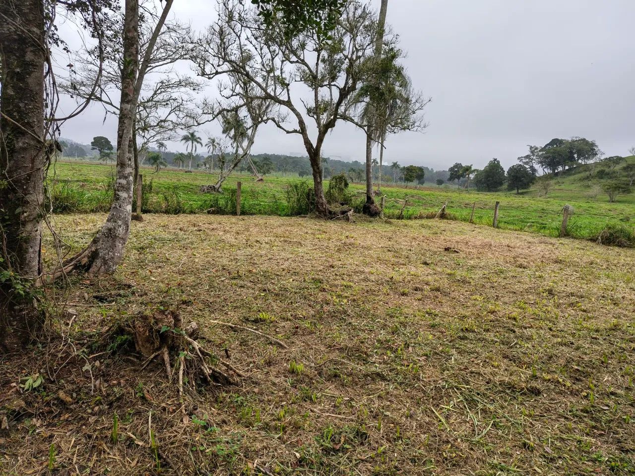 Terreno 