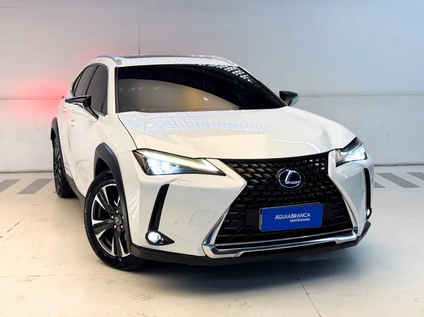 Lexus UX-250h Luxury 2.0 16V Aut.(hybrid), foto 5 de 19