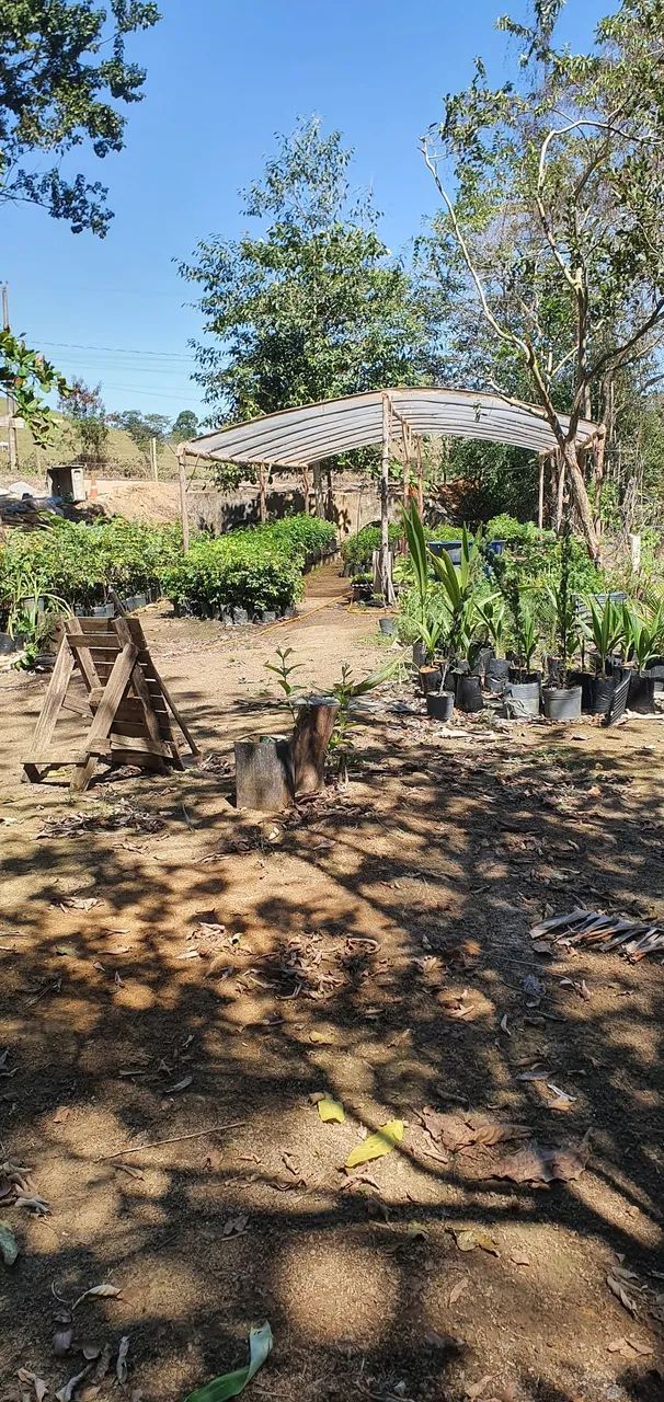 ? OPORTUNIDADE! CHÁCARA À VENDA EM NOVO BRASIL - CARIACICA/ES ? - Foto 5