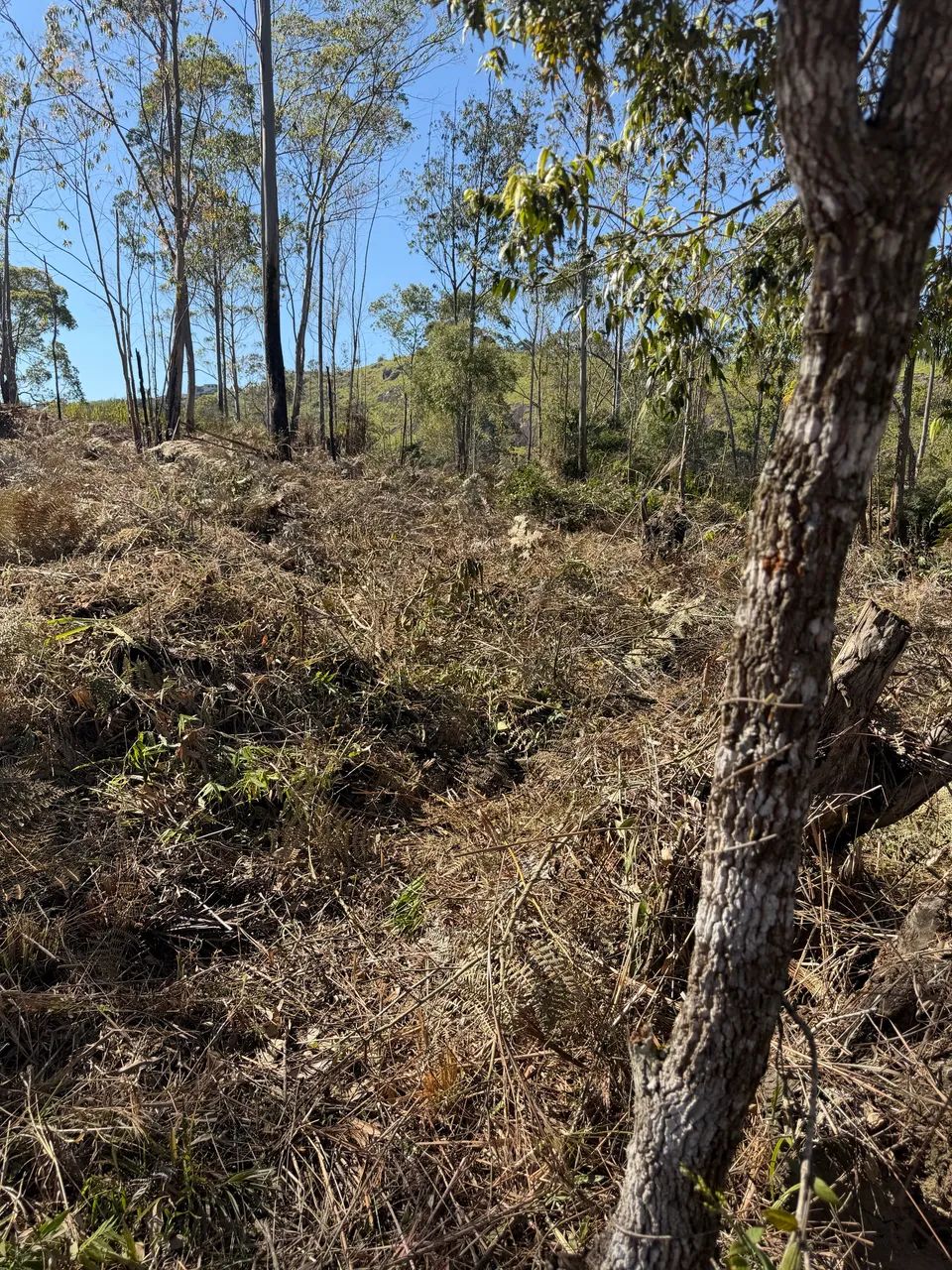 Lotes em aruja 5 mil de entrada escriturado  - Foto 3