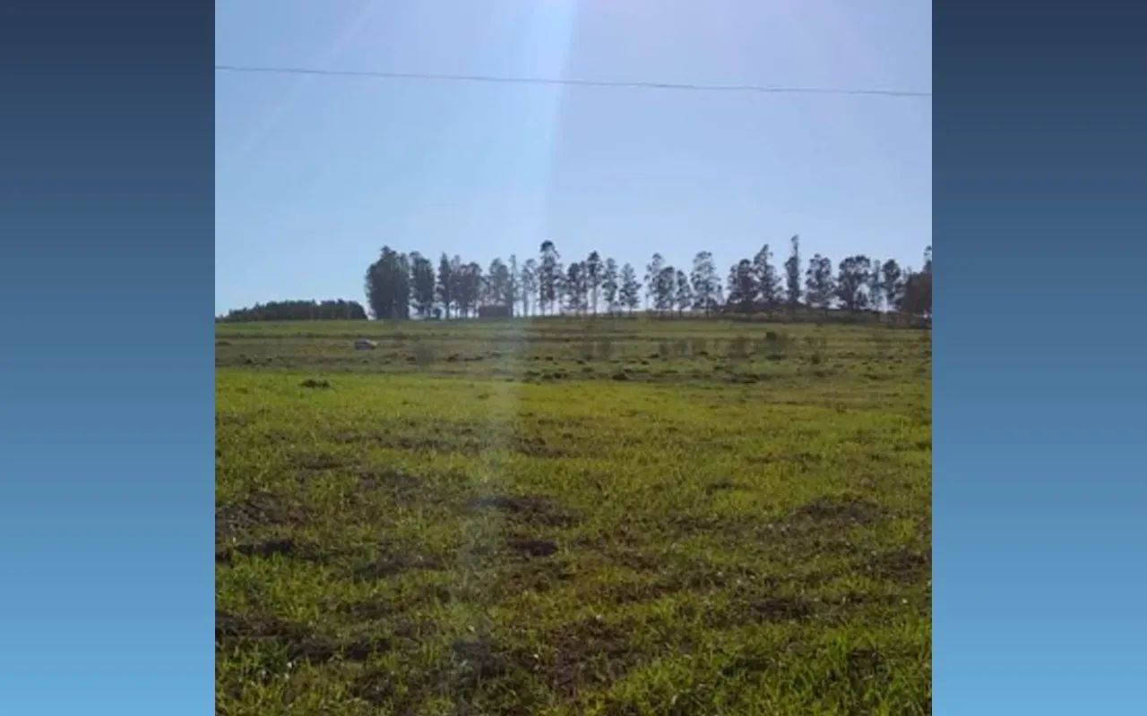 Terreno à Venda - , Nova Esperança - Foto 4