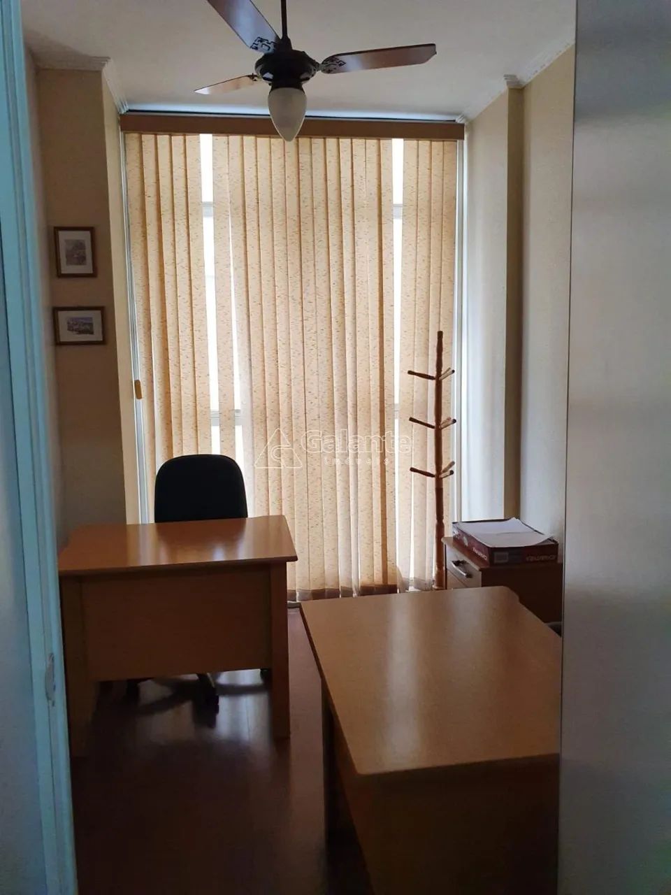 sala - Centro - Campinas - Foto 4