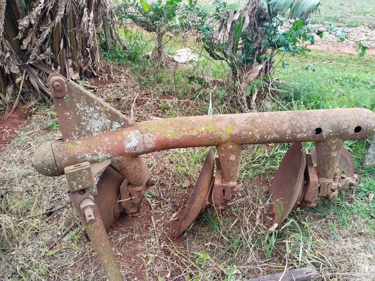 Arado do mf 3 bacias - Foto 5