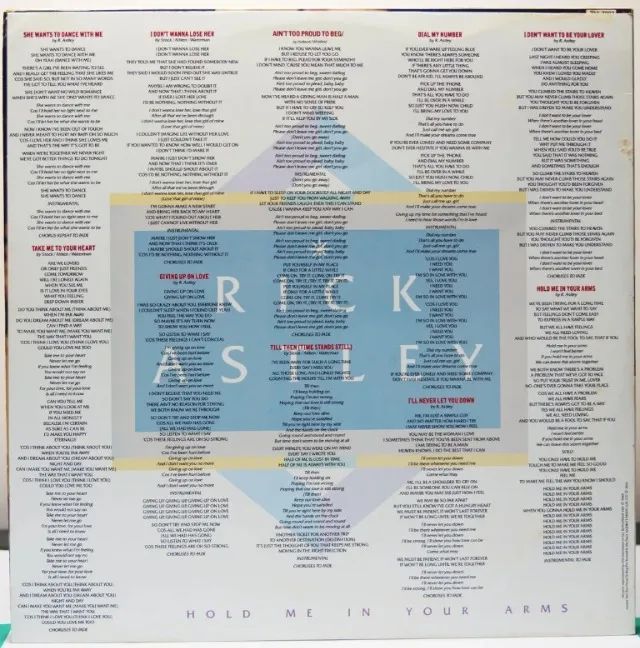 DISCO VINIL RICK ASTLEY - HOLD ME IN YOUR ARMS - Foto 3