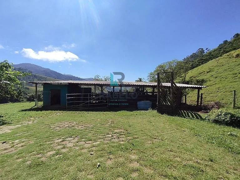 SÍTIO FORMADO COM FÁCIL ACESSO E PASTO FORMADO EM PIQUETE-SP - Foto 2
