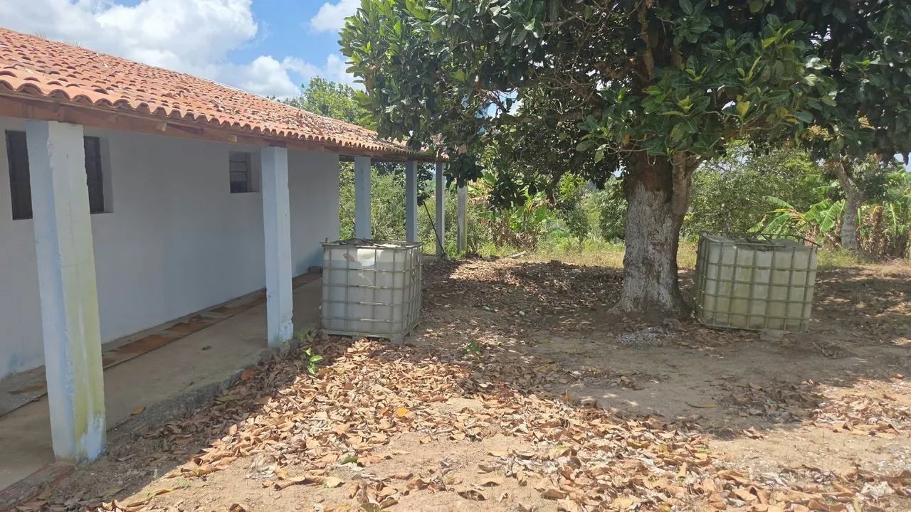 Sitio em Lagoa Seca com casa