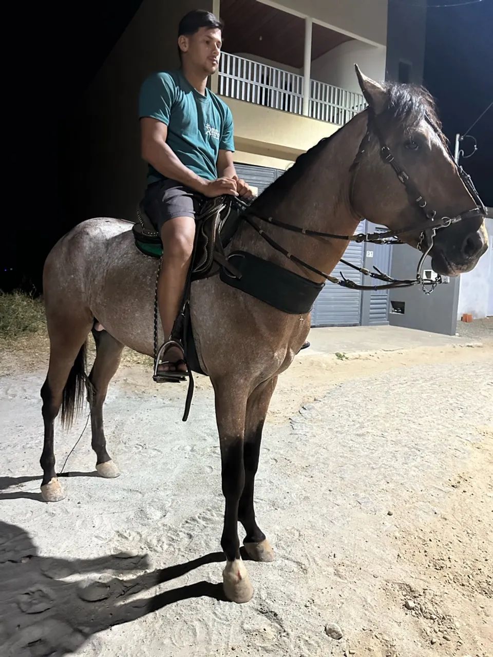 Potro  - Foto 2
