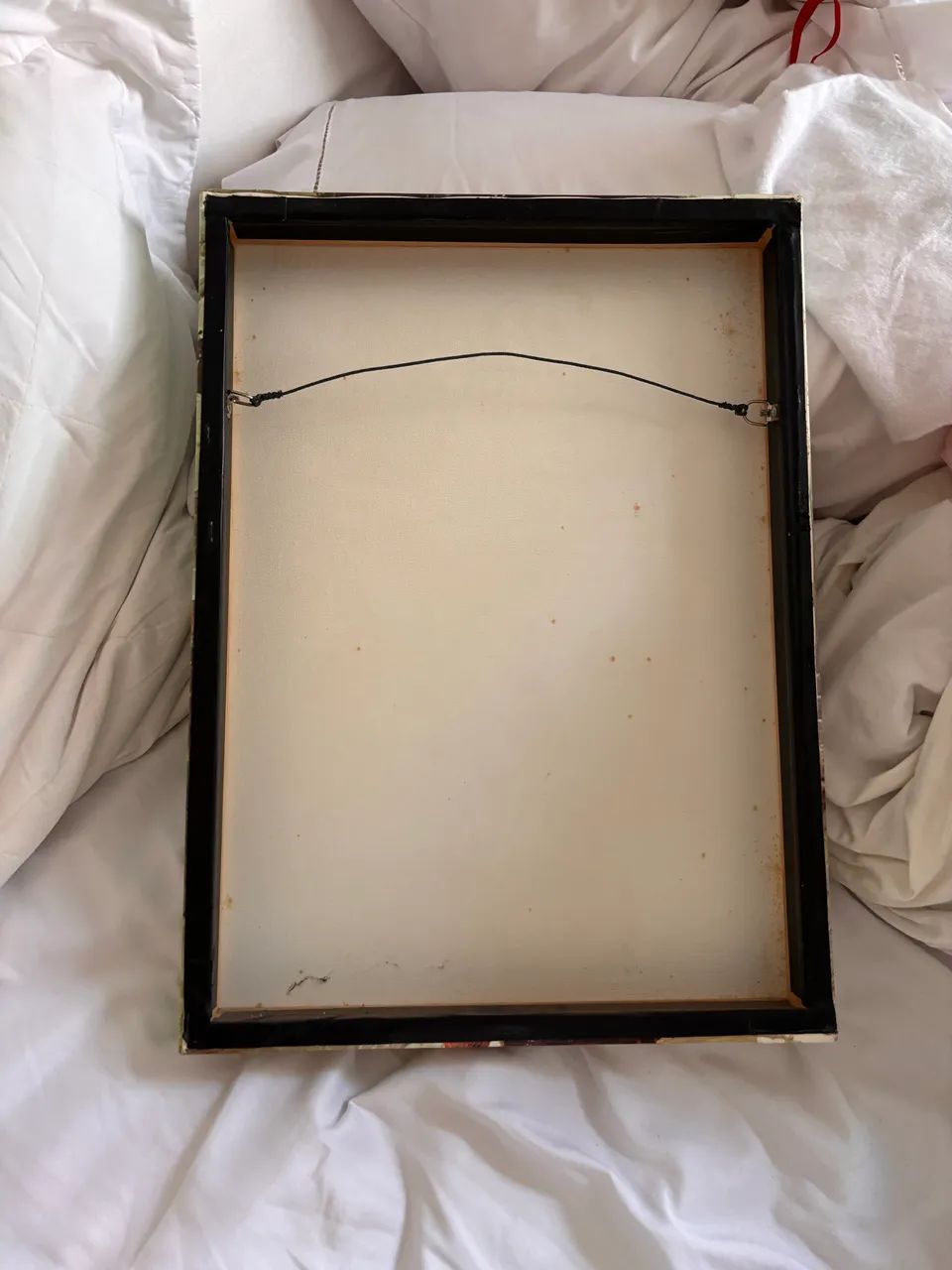 Quadro - Foto 2