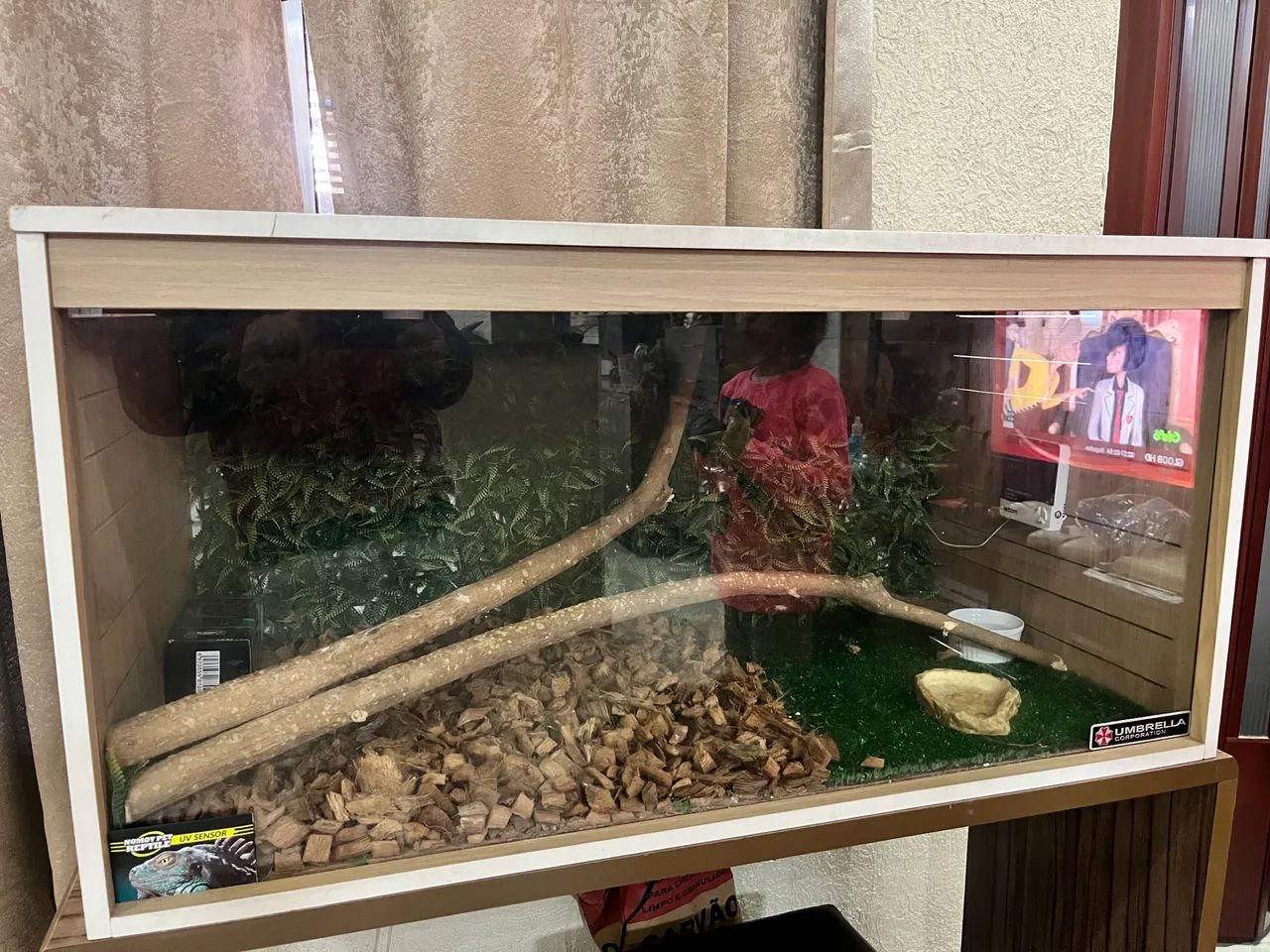 TERRARIO 