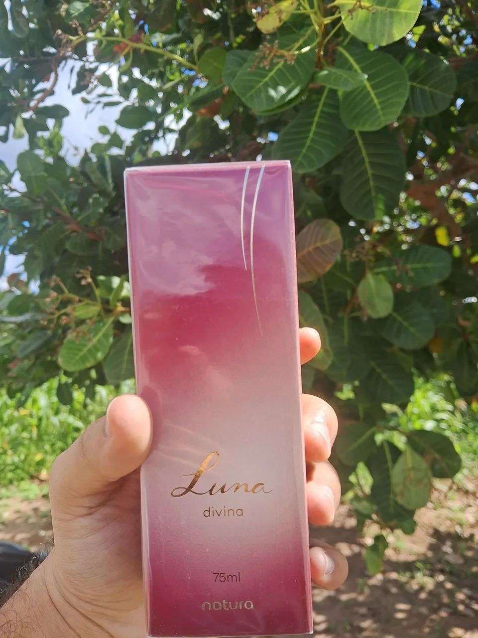Perfume Luna Divina Natura