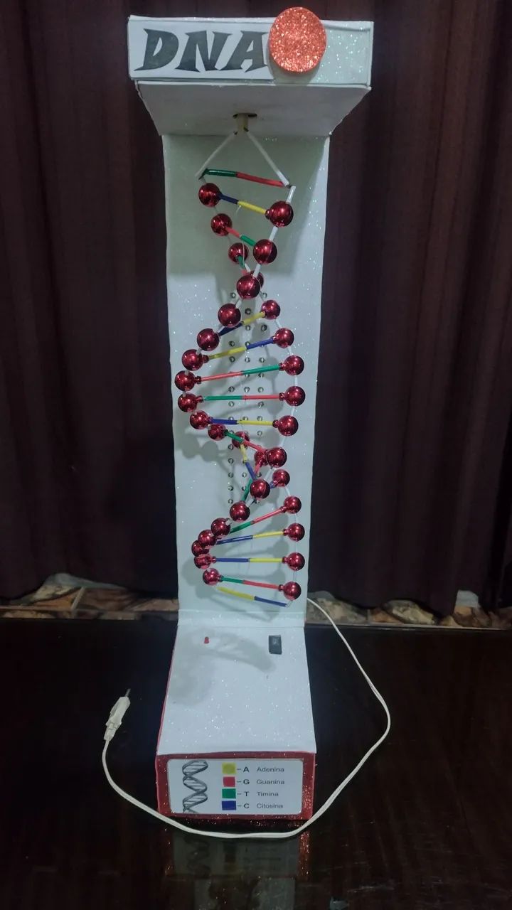 Maquete de DNA 