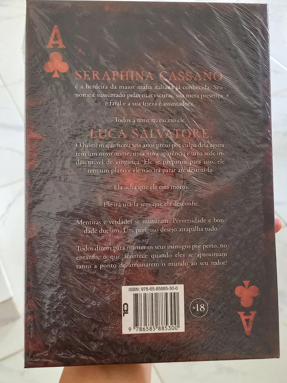 Livro Trevo Negro  - Foto 2
