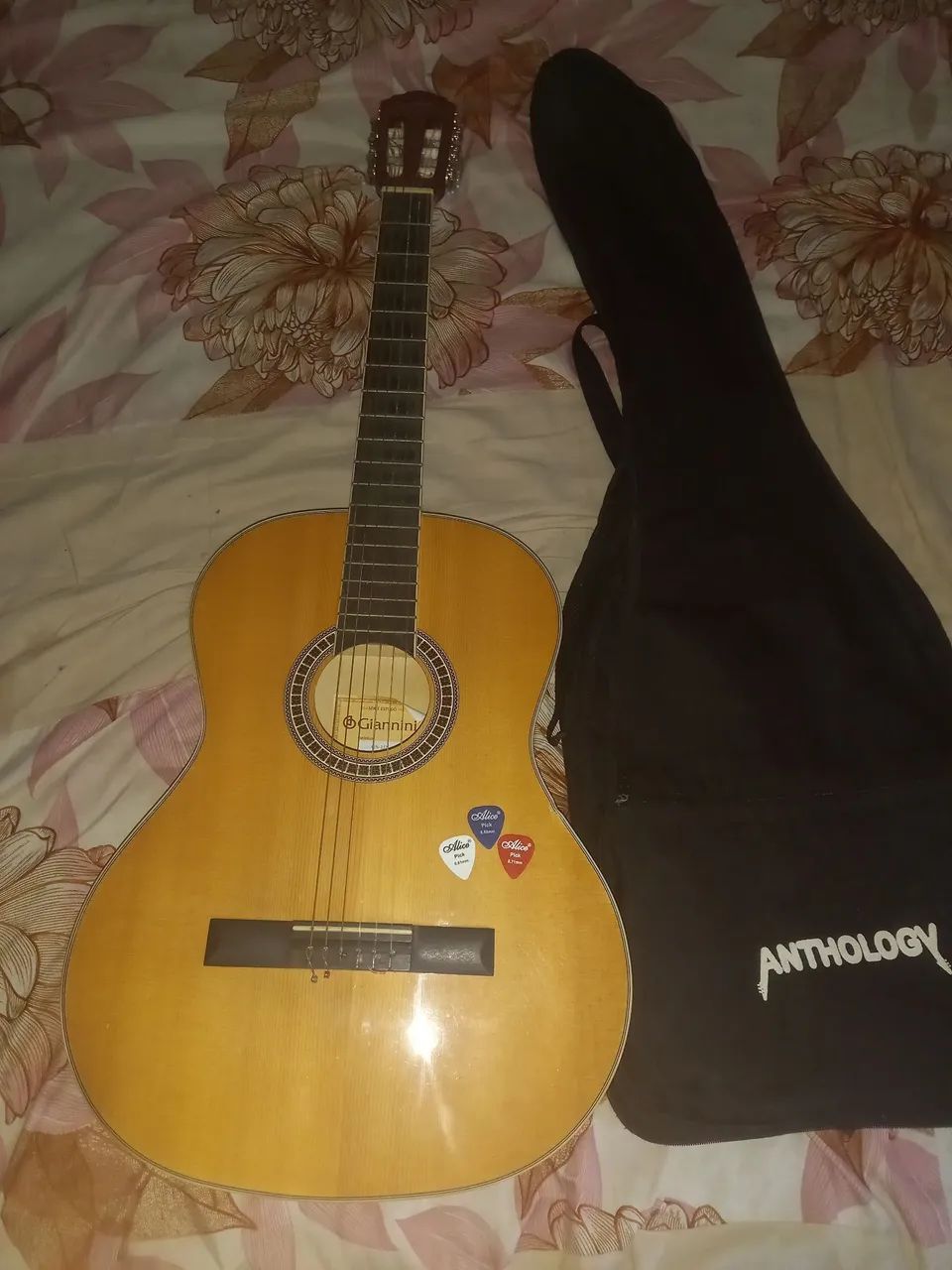 Violão Giannini, acompanha Capa e 3 palhetas  - Foto 2