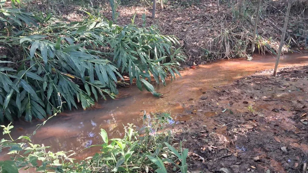 CHÁCARA A 3 KM DO CENTRO de  Florestal - MG - Foto 4