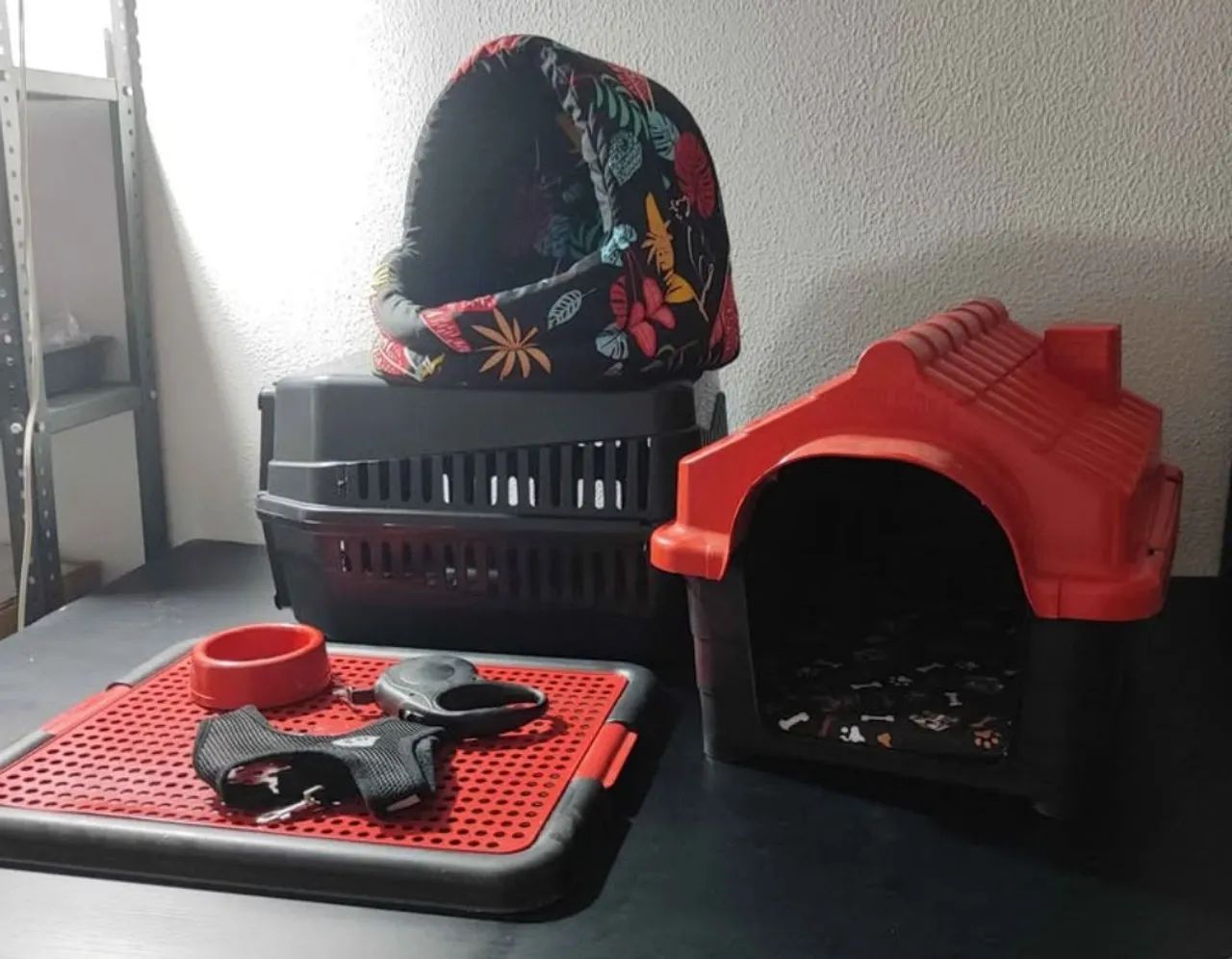 Kit para cachorro