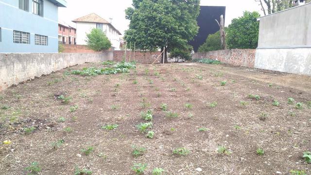 Terreno Novo Mundo