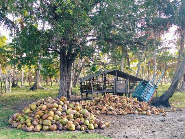 Ilha paradiasiaca na lagoa 100% escriturada e registrada - Foto 3