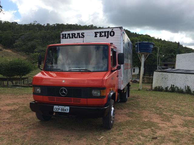 Cavalos transporte especializado - Foto 2