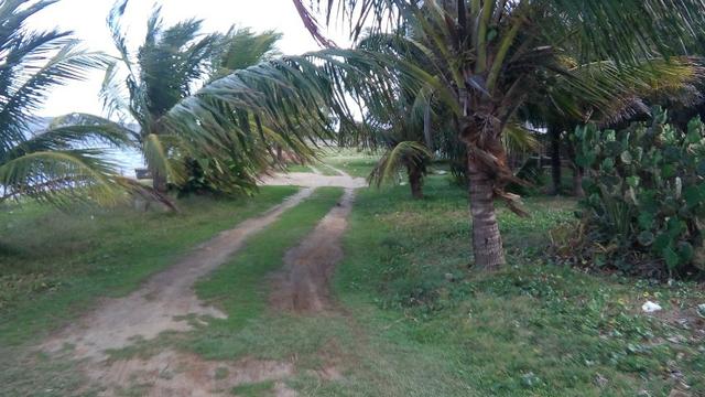 Terreno plano na beira da Lagoa de São Pedro com vista espetacular na Praia da Tereza - Foto 3