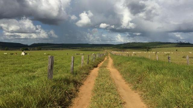 Fazenda em Itagimirim Sul da Bahia - Foto 6
