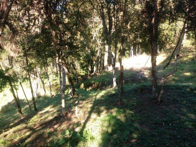 Belissima Chácara em Agudos do Sul/PR 11.500M² - Foto 5