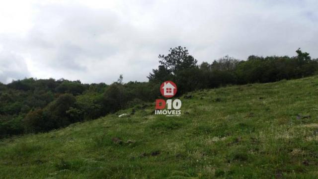 Chácara a venda, próximo ao monumento dos bertussi - r$ 85.000,00 - Foto 6