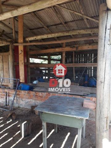 Chácara com 4 dormitórios à venda, 36000 m² por R$ 500.000 - Vila Santa Catarina - São Joã - Foto 9