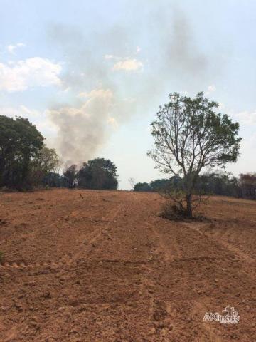 Fazenda à venda, 12640000 m² por R$ 12.500.000,00 - Zona Rural - Bom Jardim de Goiás/GO - Foto 4