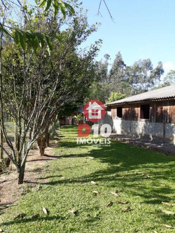 Chácara com 4 dormitórios à venda, 36000 m² por R$ 500.000 - Vila Santa Catarina - São Joã - Foto 12