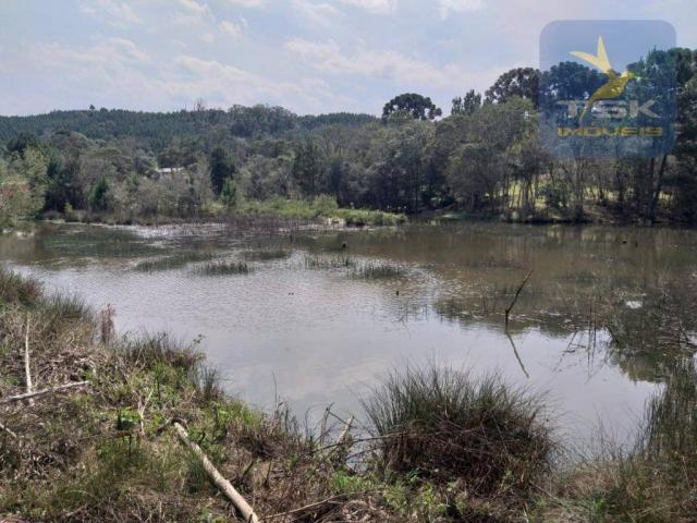 Chácara Lagoa dos Ferreira Mandirituba. CH0289 - Foto 7