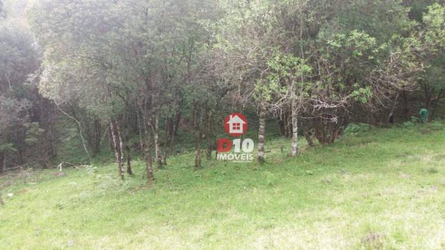 Chácara a venda, próximo ao monumento dos bertussi - r$ 85.000,00 - Foto 2