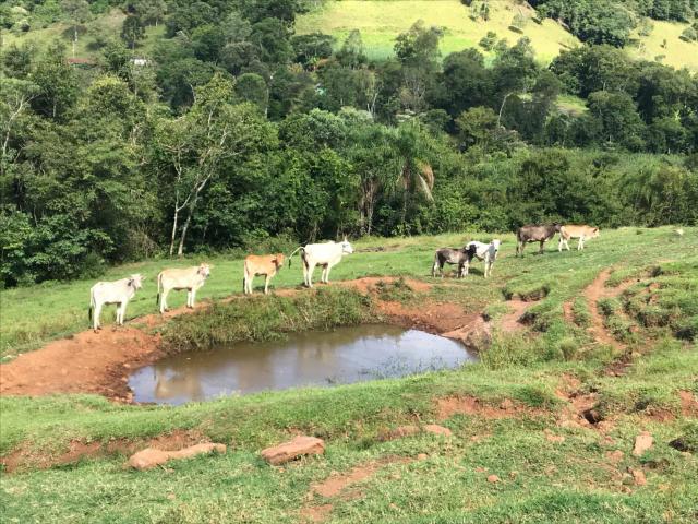 Área Rural - Foto 5