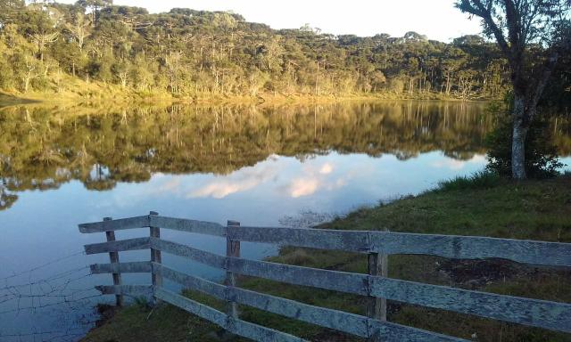 Fazenda - Foto 2