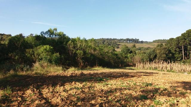 Terreno - Foto 2