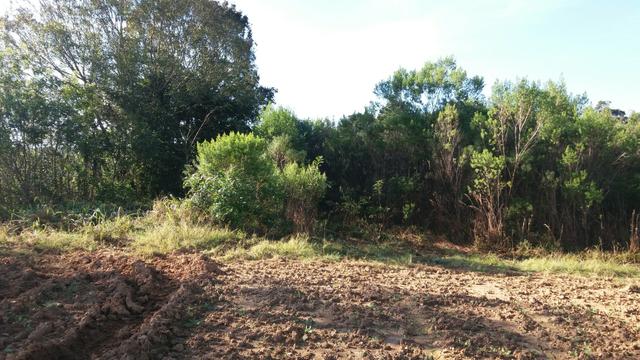 Terreno - Foto 3