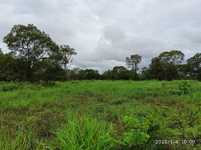 Lote De 1000 Metros, 599,00 Mensal, Entrada Parcelada em 10 Vezes, Últimas UNIDADES - MVT - Foto 5