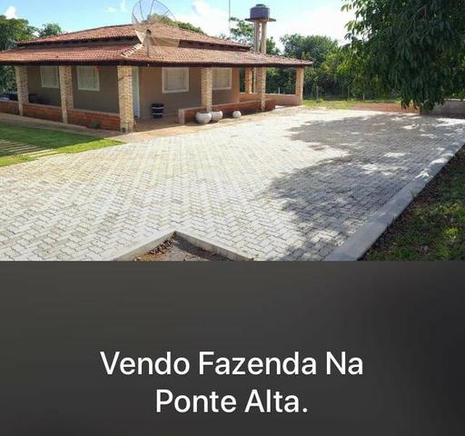 Fazenda Estrada Ponte Alta-GO- 60 Hectares - Foto 7