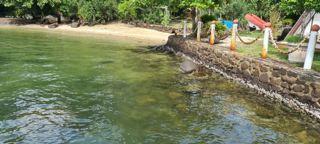 Imobiliária nova aliança aluga casa em Angra dos reis, rj.  - Foto 10