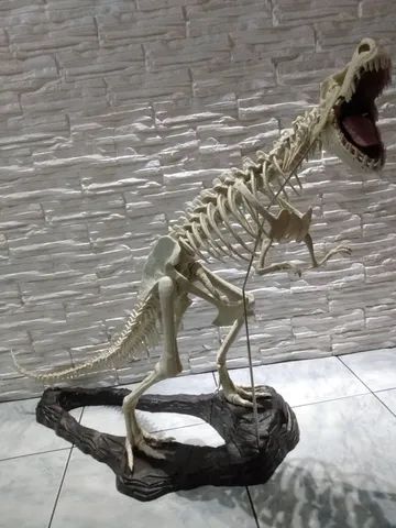 Esqueleto completo Tiranossauro Rex Salvat
