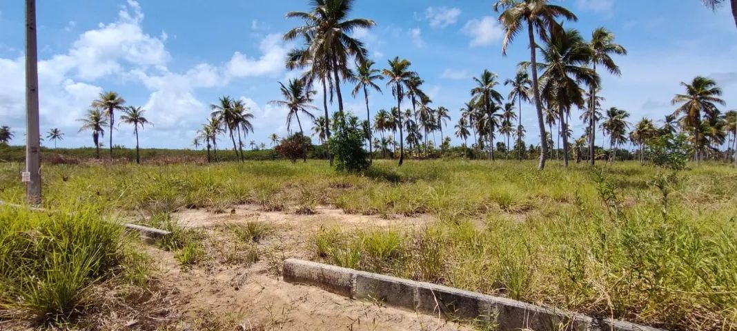 Vende-se Terreno em São José da Coroa Grande Próximo a Praia - Foto 3